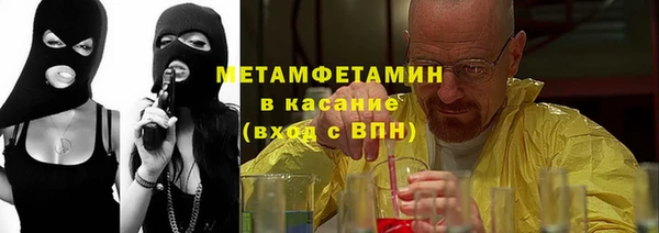 прущие грибы Абаза