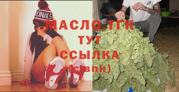 прущие грибы Абаза