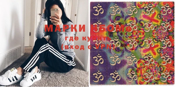 прущие грибы Абаза
