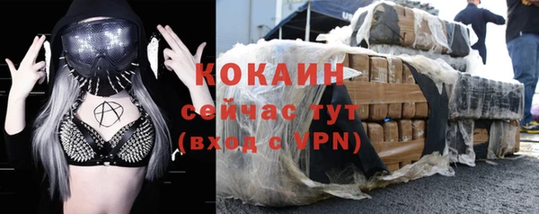 прущие грибы Абаза