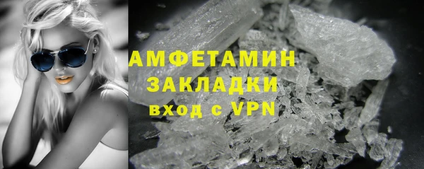 прущие грибы Абаза